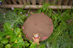 Bear Berets Hat for Women Kids Mspineapplecrafts