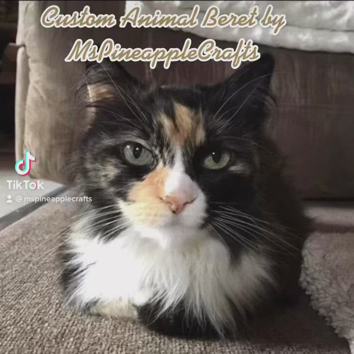 Custom 3D Pet Beret